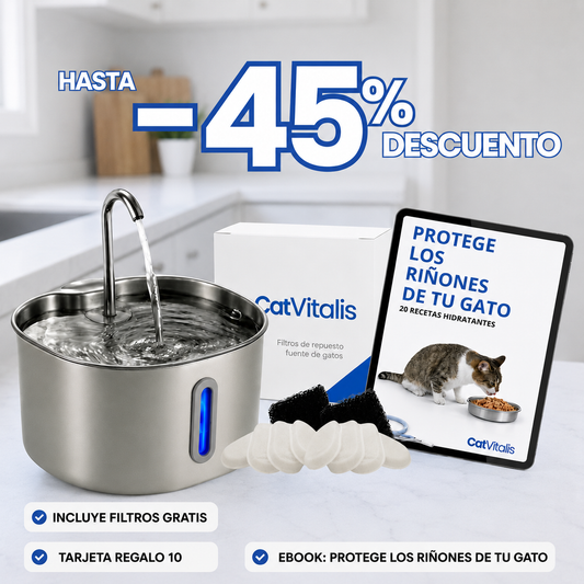 Protege a tu gato de la deshidratación y los problemas urinarios