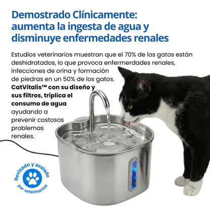 Protege a tu gato de la deshidratación y los problemas urinarios