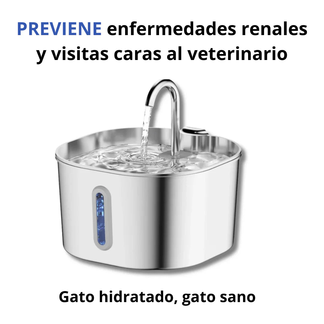 Protege a tu gato de la deshidratación y los problemas urinarios