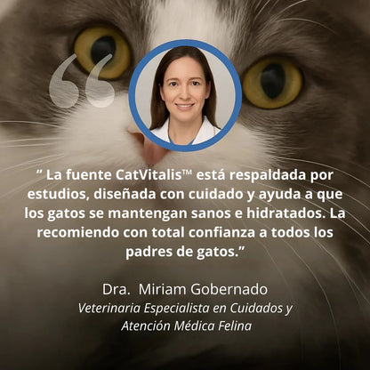 Protege a tu gato de la deshidratación y los problemas urinarios