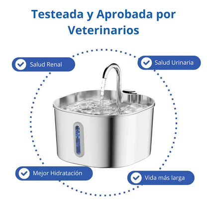 Protege a tu gato de la deshidratación y los problemas urinarios